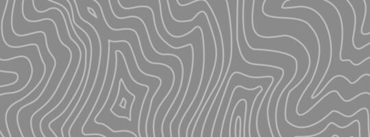 abstract wavy background. topographic contour background. contour lines background. Topographic map contour background. vector