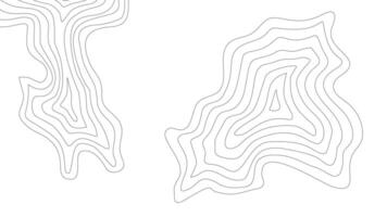 contour background. topographic contour background. Topographic map contour background. abstract wavy background. vector