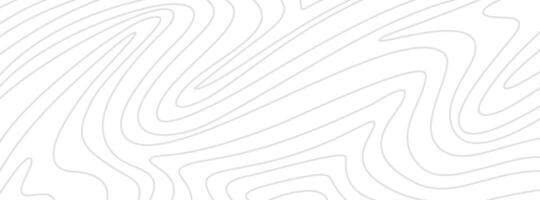 topographic contour background. contour lines background. Topographic map contour background. abstract wavy background. vector