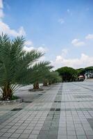 terrace of mosque central java with palm fruit and cloudy blue sky background photo