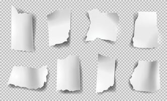 Set of realistic torn paper sheets. Ripped sheets of paper. Scrapbook edge, notebook tear or blank page. vector