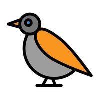 a bird with orange and gray feathers on a white background vector