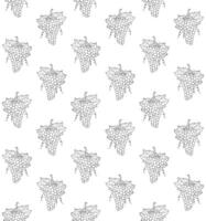 Seamless pattern of sketch grape vector