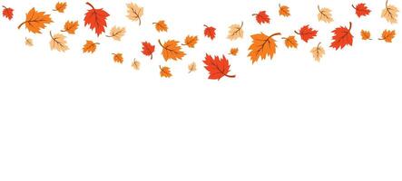 Autumn background with Shadow Leaves Template Platform vector