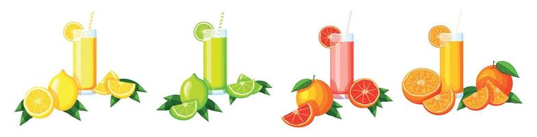 Set citrus drinks in cartoon style. Lemon, lime, grapefruit, orange isolated on white background. Summer drinks. vector