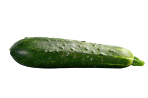 uma pepino é mostrando em uma transparente fundo png