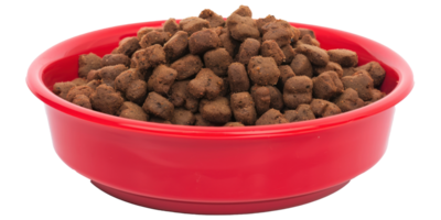 a bowl of dog food is shown on a transparent background png