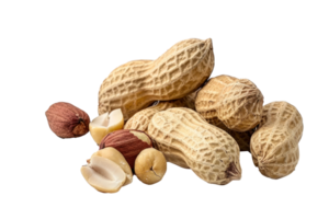 peanuts and peanuts on transparent background png