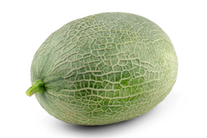 a melon on a transparent background png