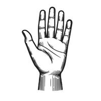 Hand palm outline image with white background vector