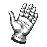 Hand palm outline image with white background vector