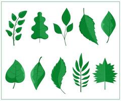 Realistic green foliage flying in air isolated on white background. Diverse plant leaves showcases various botanical designs, ideal for nature-related graphics and design projects vector