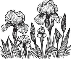 iris flower drawing, easy iris flower drawing, painting iris coloring drawing drawing, iris flower coloring pages, iris floral of diagram, hand drawing iris flower coloring pages vector