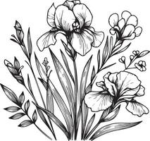 Cute flower coloring pages, Iris drawing, Hand drawn botanical summer elements bouquet of Iris line art coloring page, easy flower drawing. Iris flower art, outline Iris flower drawing vector