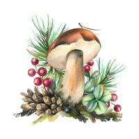 Forest porcini mushroom with larch, lingonberry, moss and cone. watercolor illustration, hand drawn. Isolated composition on a white background. vector