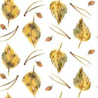 Yellow autumn birch leaves with pine needles. Watercolor illustration hand drawn. Forest seamless pattern on a white background vector