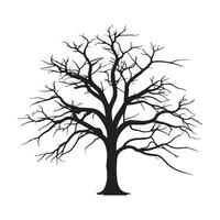 Bare tree silhouette background. tree without leaves silhouette white background vector
