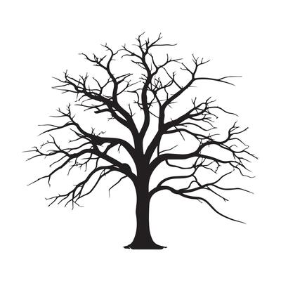 Bare tree silhouette background. tree without leaves silhouette white background