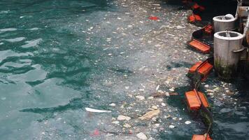 water pollution with garbage on water video