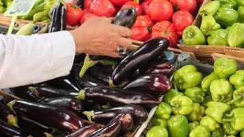 Explore Fresh Vegetables at Your Local Market A Vibrant and Diverse Produce Selection Available video