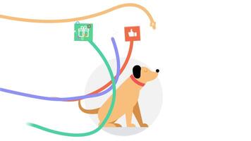 Own a Pet With a Mobile App 2D Cartoon Animation video