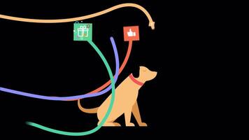 Own a Pet With a Mobile App On Alpha Channel 2D Animation video