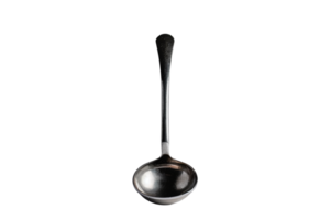 Silver Ladle Isolated png