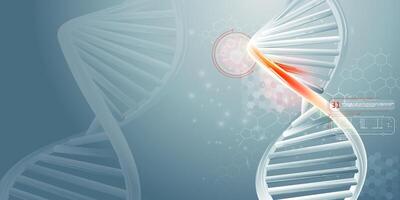 DNA double helix strands and scientific data infographics. vector