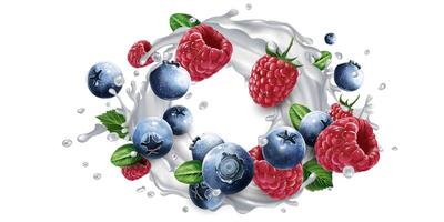 Blueberries and raspberries and a splash of milk or yogurt. vector