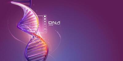 DNA double helix structure on a purple background. vector