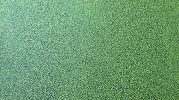 duckweed green algae covers the entire surface of the reservoir, green background video
