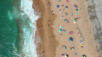 Aerial drone view of tourists and parasol on seashore at Magoito Beach video