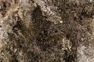 Macro of a mineral stone Vesuvianite on a white background photo