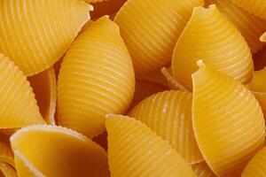Pasta products in the form of a shell, texture photo