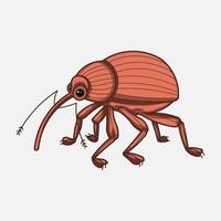Acorn nut weevil Curculio nucum vector
