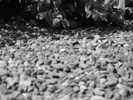 Stone ground pattern, natural stone texture, ground pavement background photo
