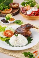 Bebek Bakar or Roasted duck with Sambal Terasi, a traditional food from Indonesia typical of West Java. This food is served with rice, cucumber, tomato and fresh vegetables. photo