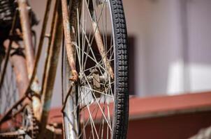 detail of the wheel of an old and rusty bicycle photo