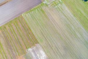 overhead aerial drone view of agricultural fields in springtime photo