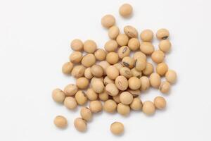 soybean seeds on white background photo
