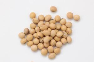 soybean seeds on white background photo