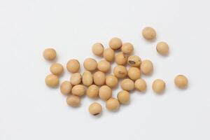 soybean seeds on white background photo