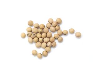 soybean seeds on white background photo