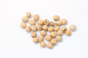 soybean seeds on white background photo