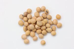 soybean seeds on white background photo