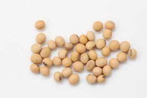 soybean seeds on white background photo