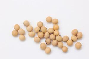 soybean seeds on white background photo