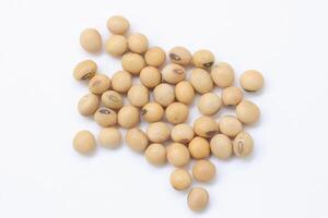 soybean seeds on white background photo