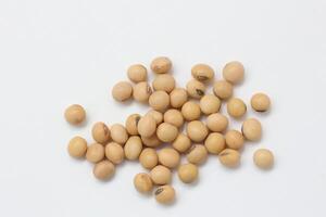 soybean seeds on white background photo