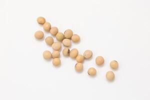 soybean seeds on white background photo